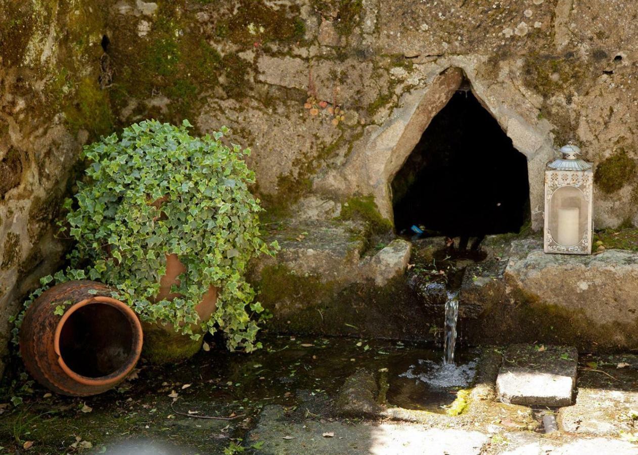 Gasthaus Jardines Pazo A Fabrica Celanova Exterior foto
